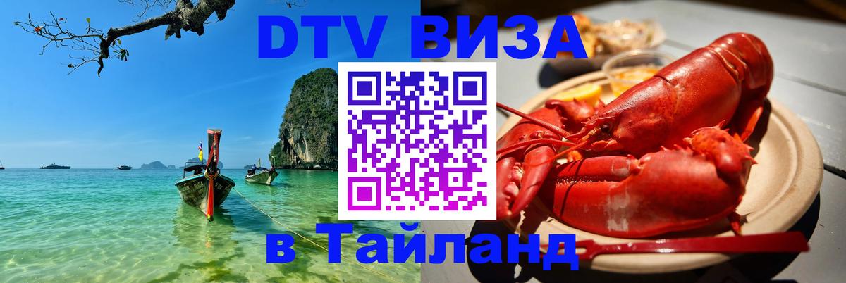 Оформление DTV визы под ключ: стоимость и тарифы, только загранпаспорт - 05.10.2025 
